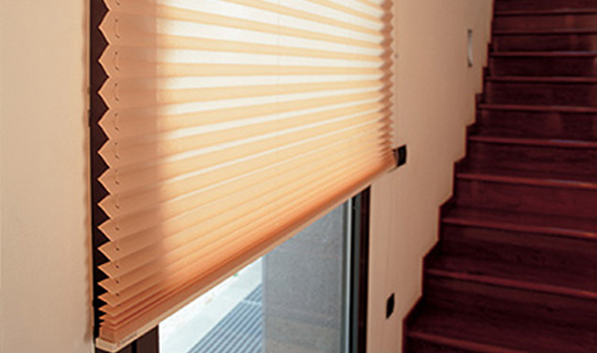 Persianas Plisadas - Cortinas Manzanodecora
