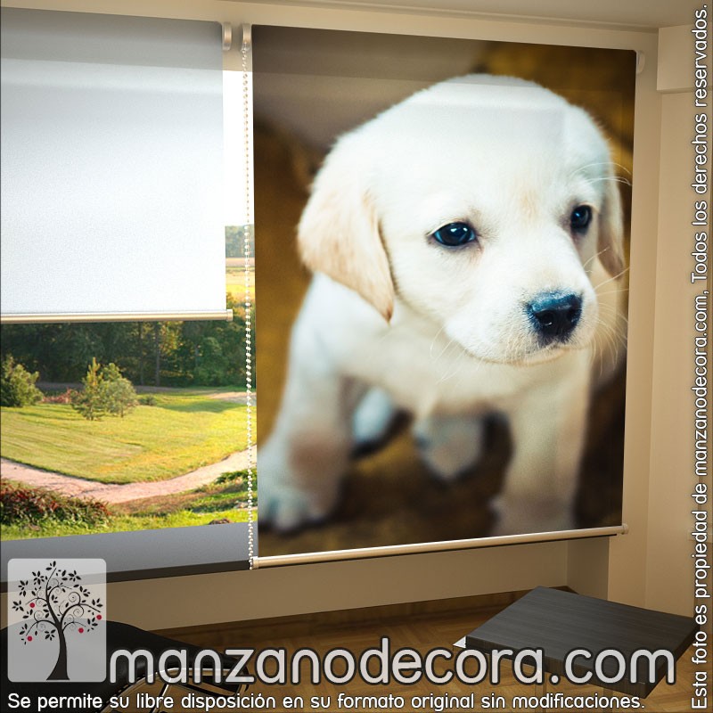 Enrollable Fotográfico Animales 01 - Cortinas Manzanodecora