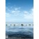 Panel Japonés Fotográfico Caladio - 160cm ancho x 220cm alto