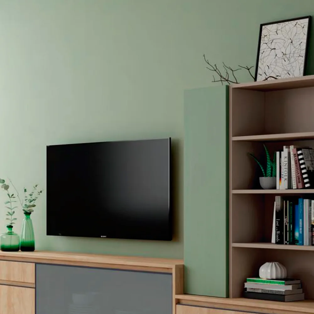 Muebles de salón: mueble de televisión, estanterías y aparadores