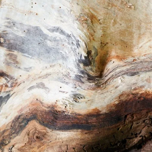 Papel pintado Saule: madera de sauce a gran escala, como un paisaje abstracto